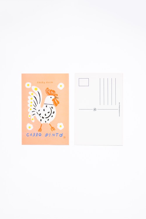 Pinto y Huevos Postcard