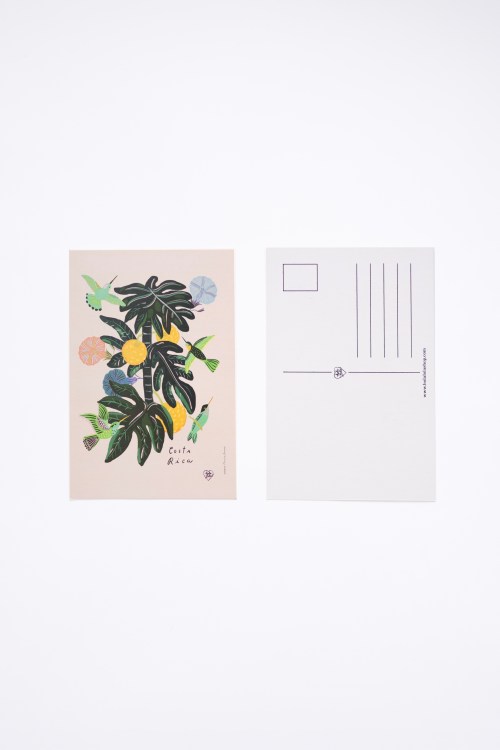 Fruta de Pan Postcard