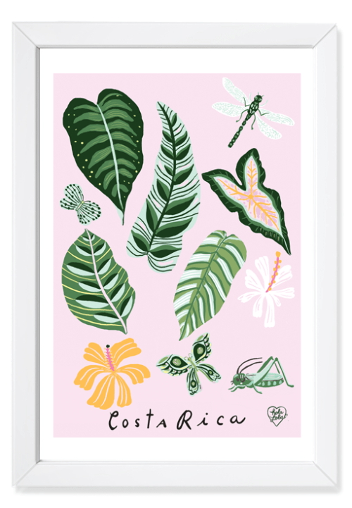 Matitas y Bichitos Art Print